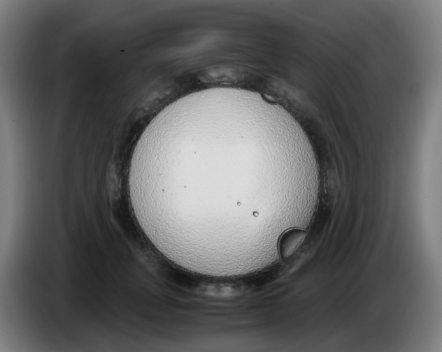 X0000085250751200703301810