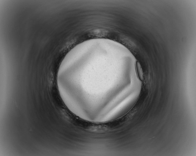 X0000085250752200703301810