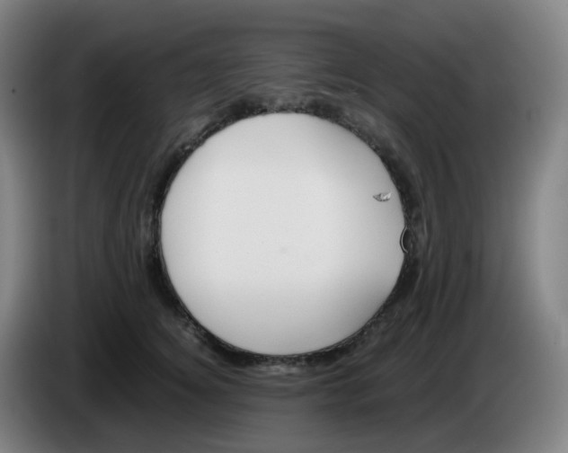 X0000085250756200703301810