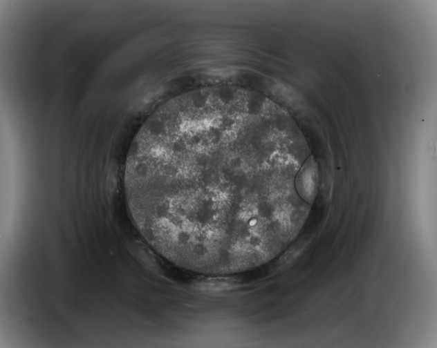 X0000085250758200703301810