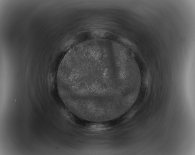 X0000085250759200703301810