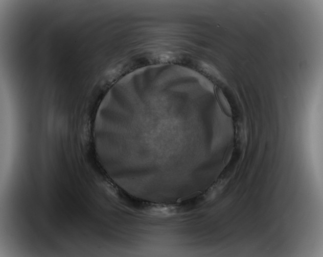 X0000085250760200703301810