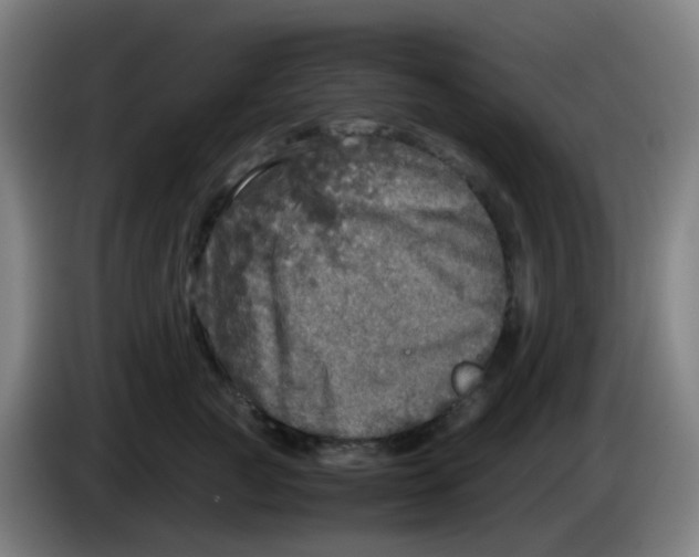 X0000085250761200703301810