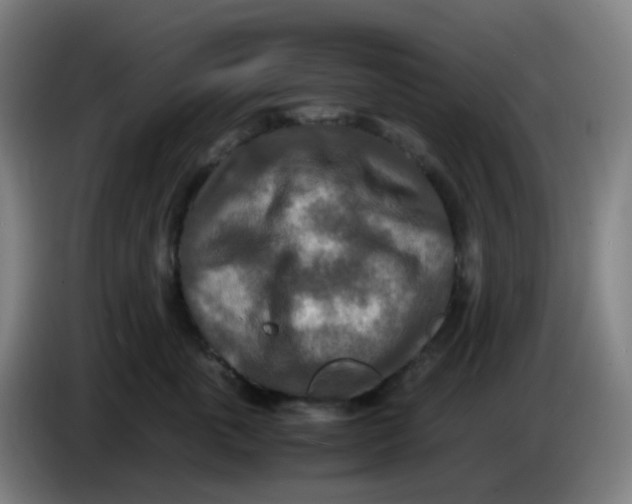 X0000085250763200703301810