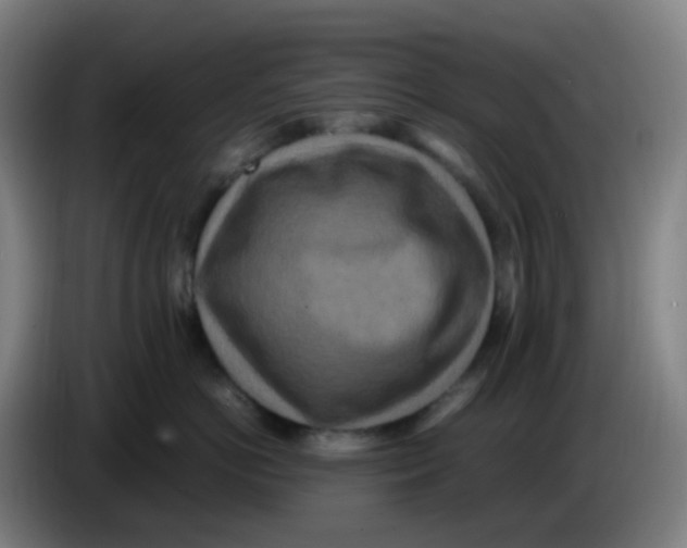 X0000085250766200703301810