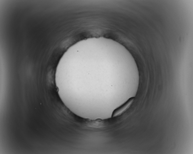 X0000085250768200703301810