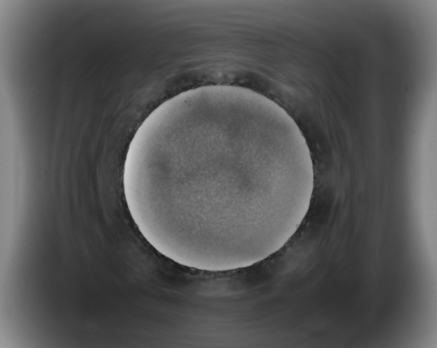 X0000085250769200703301809