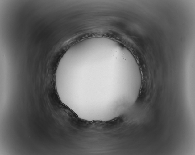 X0000085250773200703301809