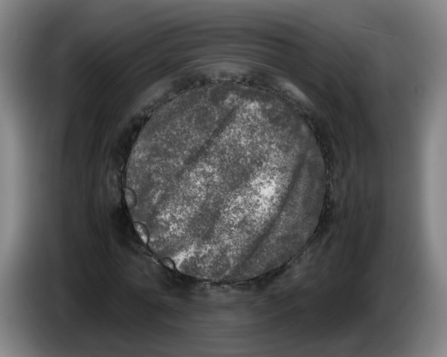 X0000085250774200703301809