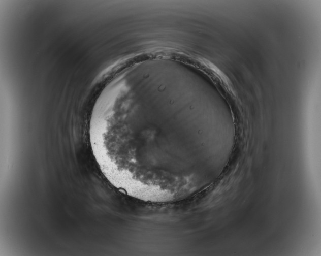 X0000085250775200703301809