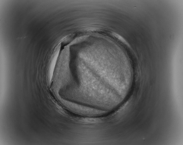 X0000085250777200703301809