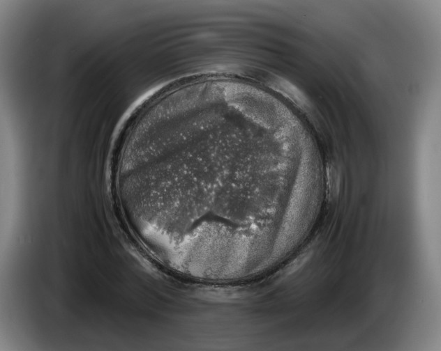 X0000085250780200703301809