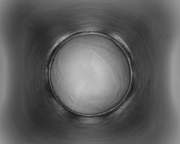 X0000085250781200703301809