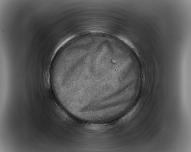 X0000085250782200703301809