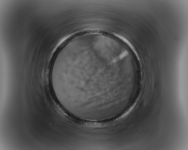 X0000085250783200703301809