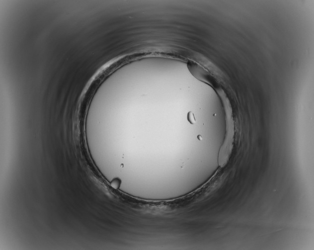 X0000085250784200703301809