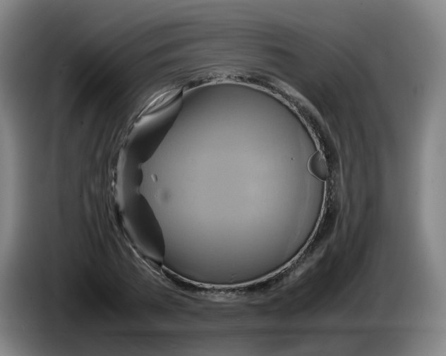 X0000085250785200703301809