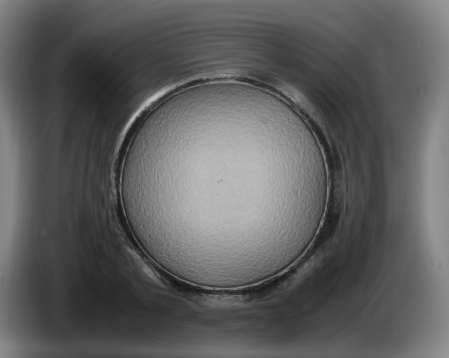 X0000085250789200703301809