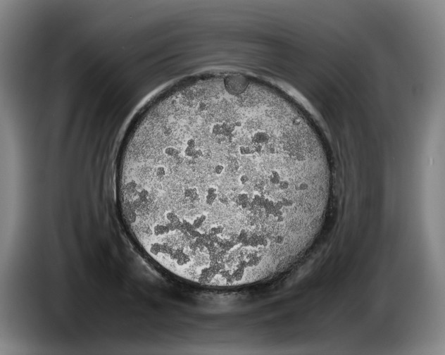 X0000085250791200703301809