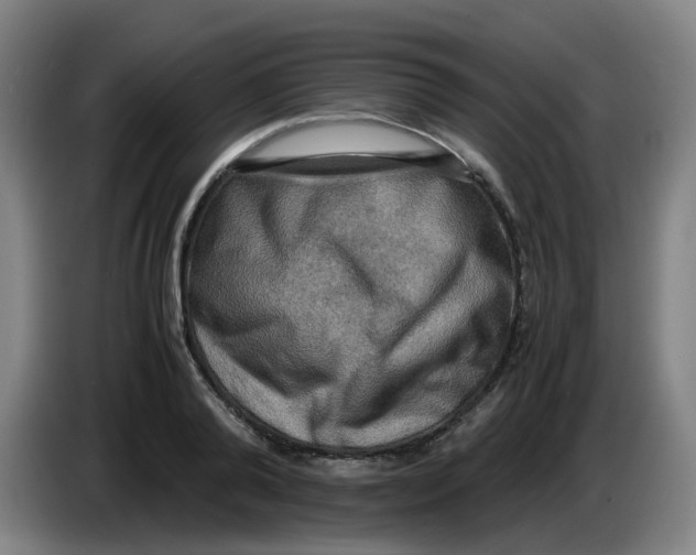 X0000085250792200703301809