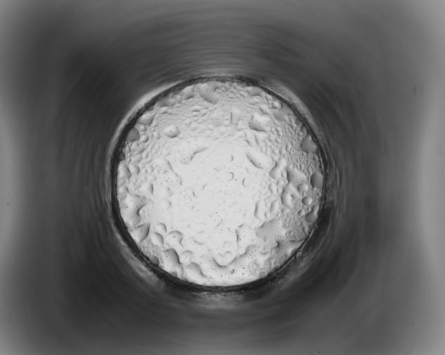 X0000085250795200703301809