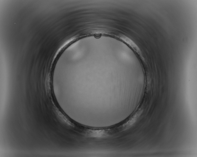 X0000085250798200703301809