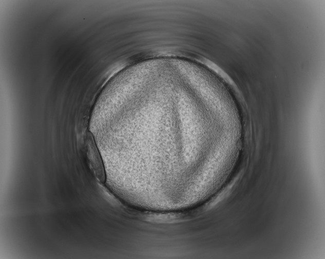 X0000085250801200703301809