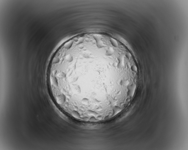 X0000085250803200703301809