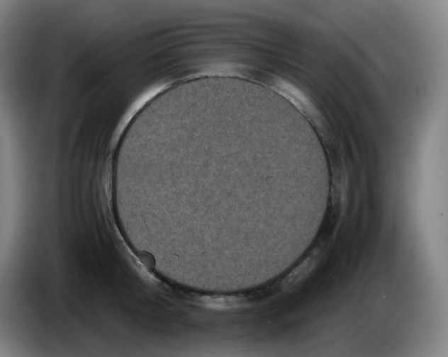 X0000085250804200703301809