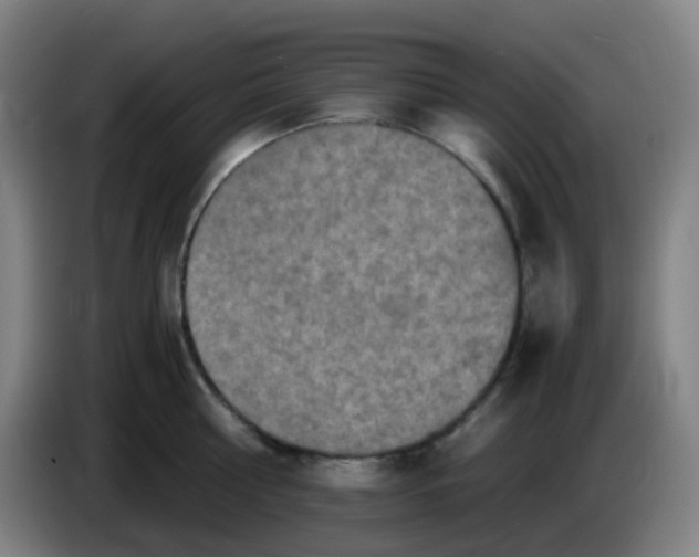 X0000085250810200703301809