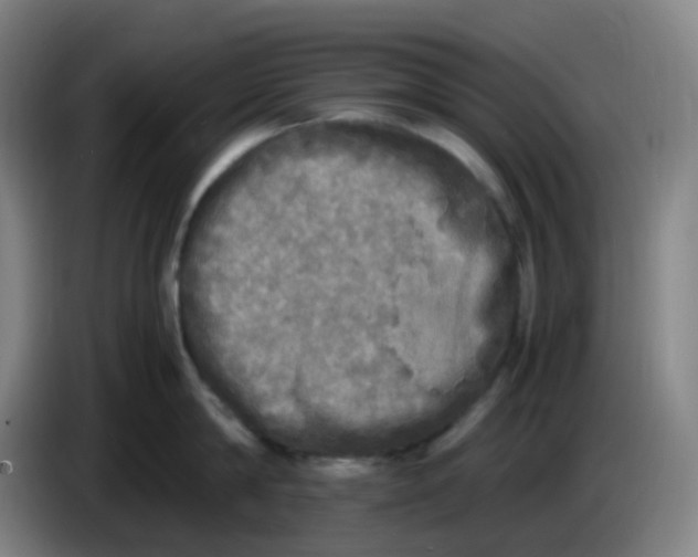 X0000085250814200703301809