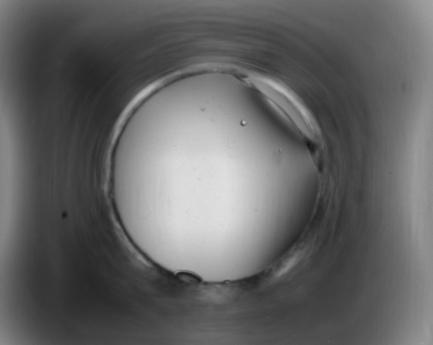 X0000085250815200703301809