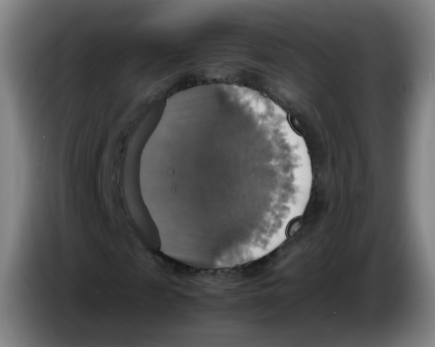 X0000085250817200703301808