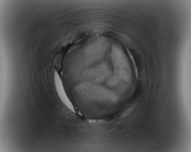 X0000085250818200703301808