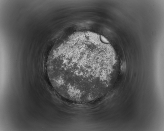 X0000085250819200703301808