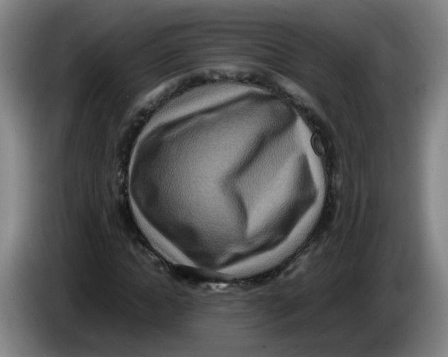 X0000085250822200703301808