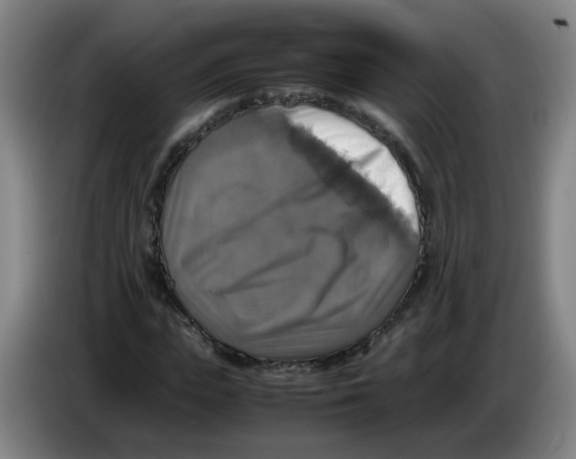 X0000085250823200703301808