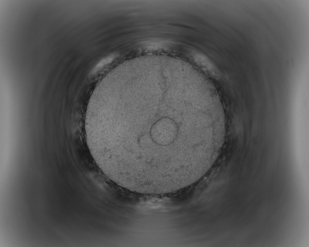 X0000085250824200703301808