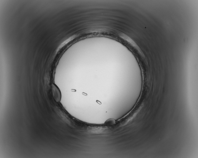 X0000085250826200703301808