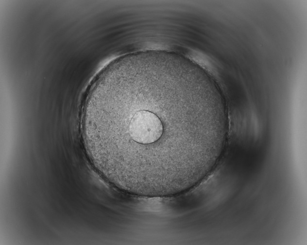 X0000085250828200703301808