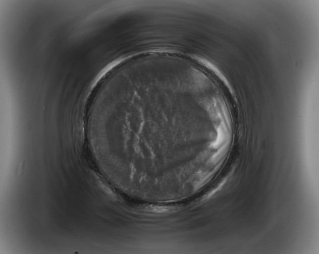 X0000085250829200703301808