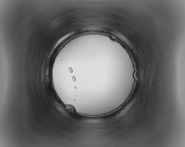 X0000085250830200703301808