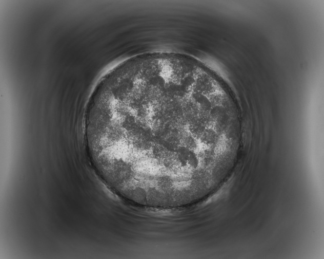 X0000085250831200703301808