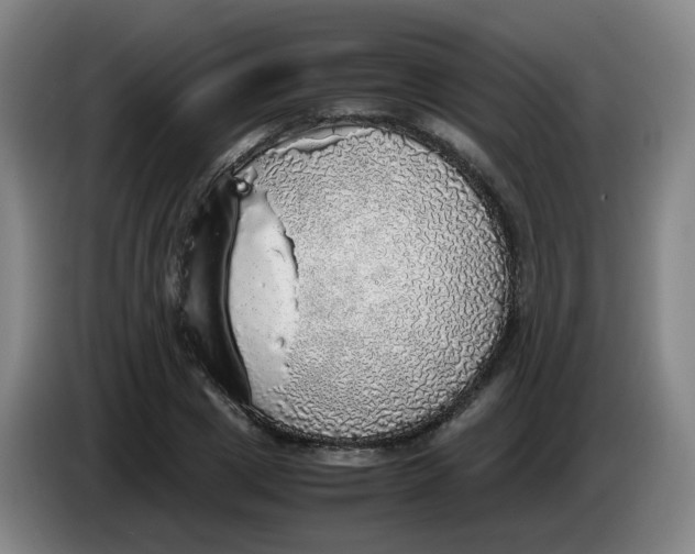 X0000085250833200703301808