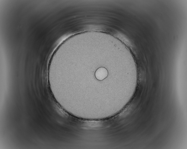 X0000085250836200703301808