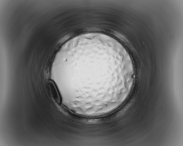 X0000085250841200703301808