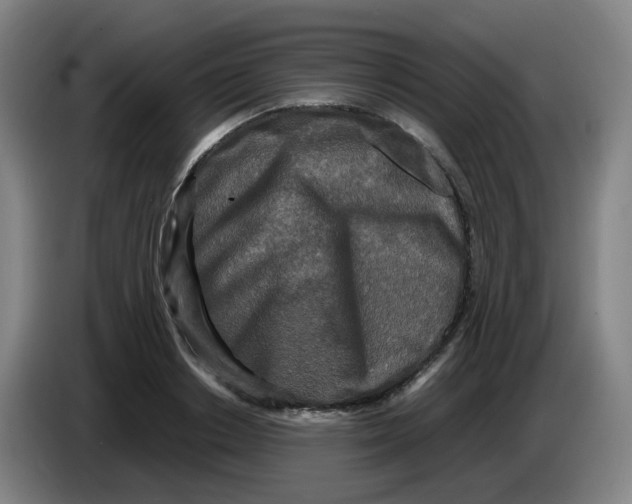 X0000085250842200703301808