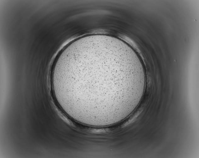 X0000085250843200703301808