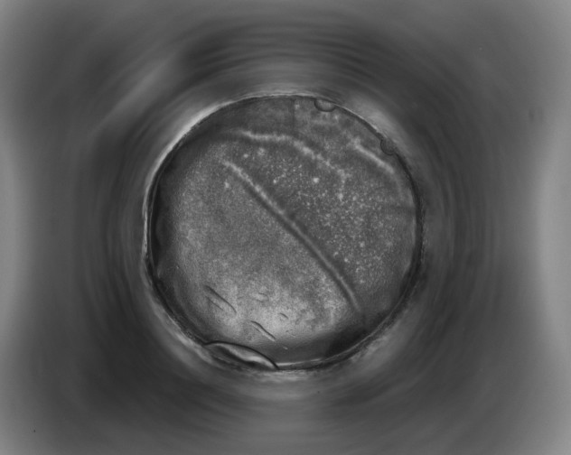 X0000085250844200703301808