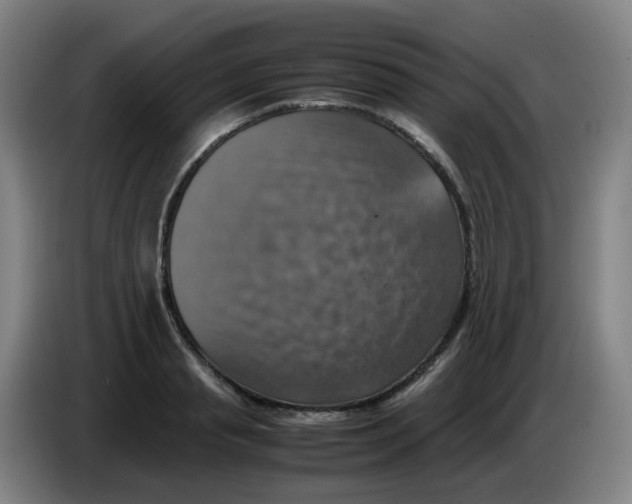 X0000085250845200703301808